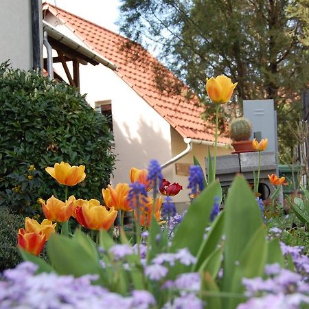 Maya Guesthouse Eger Exteriér fotografie