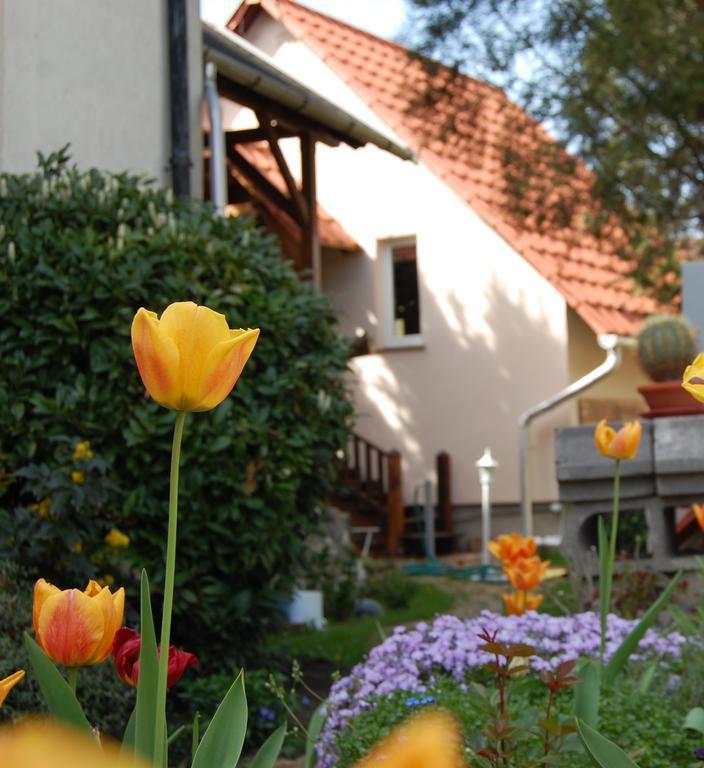 Maya Guesthouse Eger Exteriér fotografie