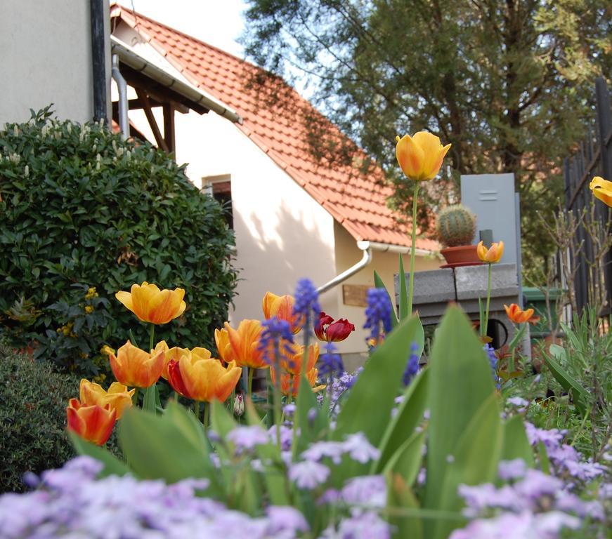 Maya Guesthouse Eger Exteriér fotografie